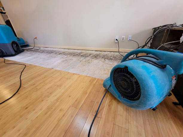 Professional Sewage Cleanup technician working in Louisville, TN